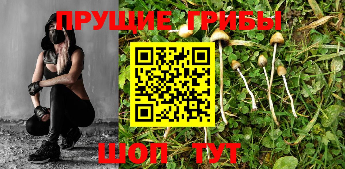 Галлюциногенные грибы мухоморы  Галлюциногенные грибы MAGIC MUSHROOMS  наркотики  Серпухов  Вход с VPN 